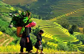 Hanoi to Sapa by bus and private car