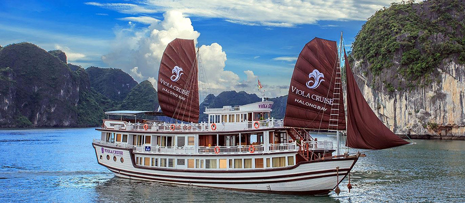 Private Car Transfer Services to  Viola Cruise Halong Bay